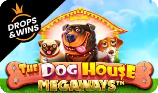 Joue à Dog House