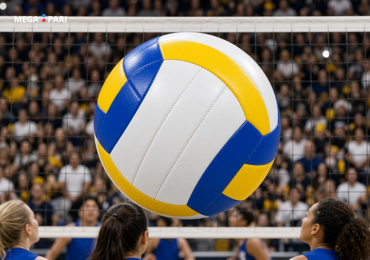 Aperçu des paris volley chez Megapari