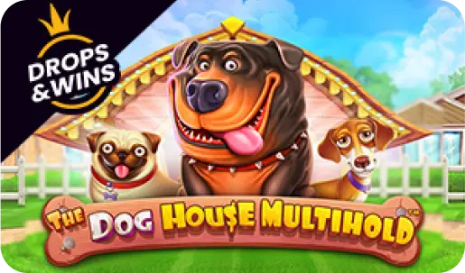 Joue à Dog House Multihold chez Megapari